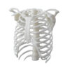 00-00013536-1-710x600h.jpg Formlabs White Resin V4.1 картридж 1л – — фото 2