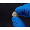 Картридж Formlabs Premium Teeth HT A3 смола Form 3 — фото 3