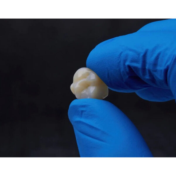 Смола Formlabs Premium Teeth HT A2 для стоматології — фото 3