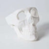 Formlabs White Resin V4 5л – смола для 3D принтера Form 3 — фото 2