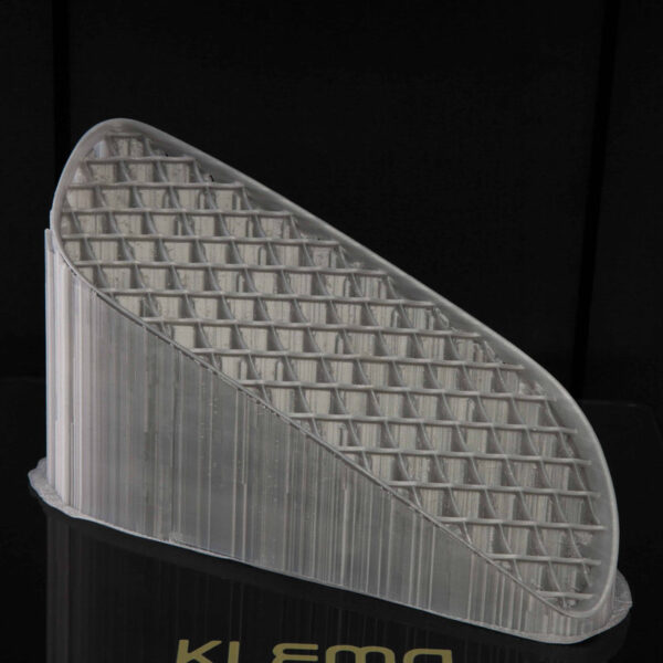 file-619.jpg 3D-принтер KLEMA 250 Twin Pro — фото 2