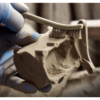 Fuse Sift – станція відновлення порошку SLS для Formlabs Fuse — фото 5